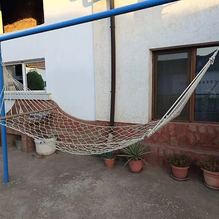 конна база ескус хорсес Gigen