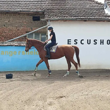 بيت ضيافة конна база ескус хорсес