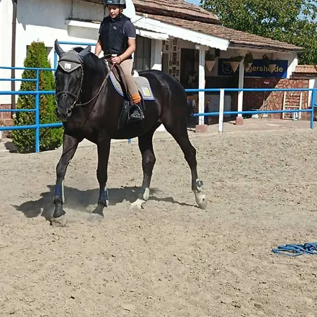 Gasthof конна база ескус хорсес 3*