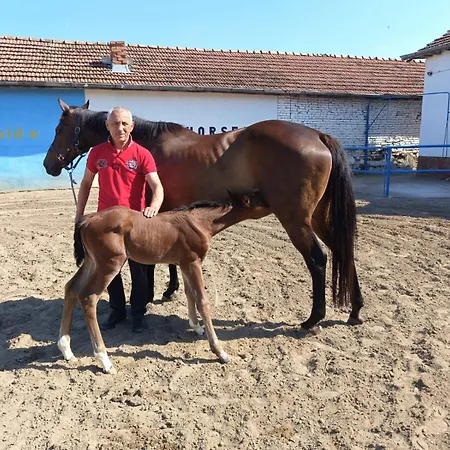 конна база ескус хорсес 3*