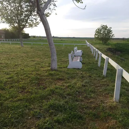 конна база ескус хорсес Gigen