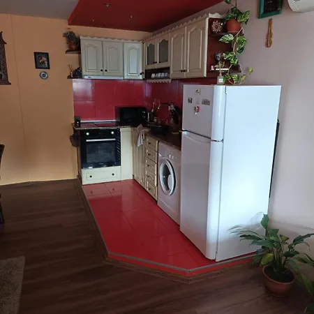 конна база ескус хорсес 3* Gigen