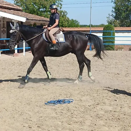 конна база ескус хорсес Gasthof 3*