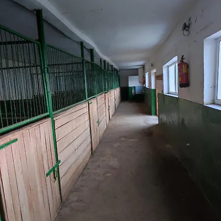 конна база ескус хорсес 3* Gigen