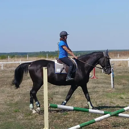 Gasthof конна база ескус хорсес 3*