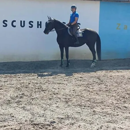 конна база ескус хорсес بيت ضيافة Gigen